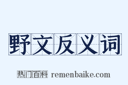 野文反义词是什么意思的图片